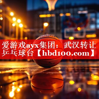 爱游戏ayx集团：武汉转让乒乓球台