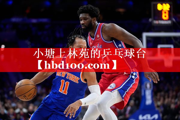 小塘上林苑的乒乓球台