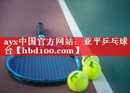 ayx中国官方网站：亚平乒乓球台