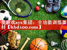 爱游戏ayx集团：全功能训练器材