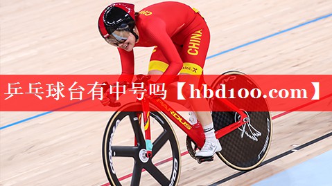 乒乓球台有中号吗