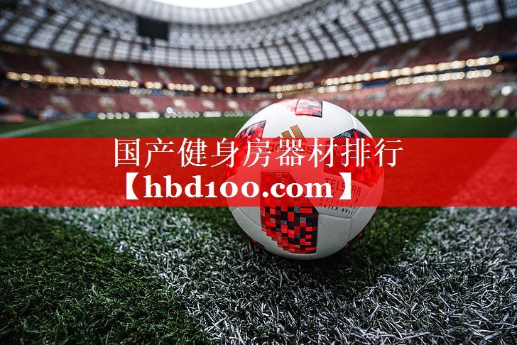 国产健身房器材排行