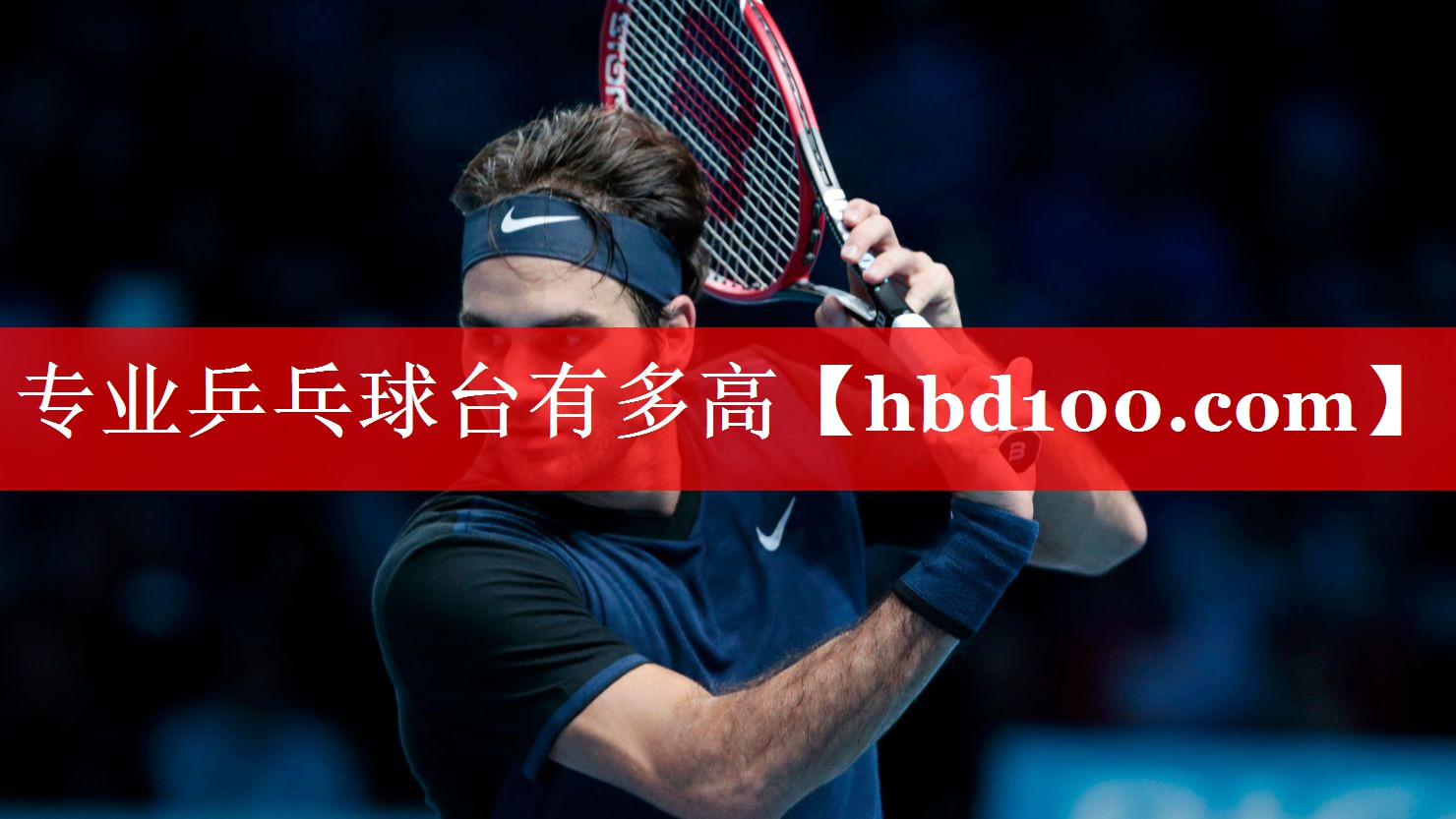 专业乒乓球台有多高