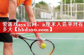 爱游戏ayx官网：2厘米人造草坪有多大