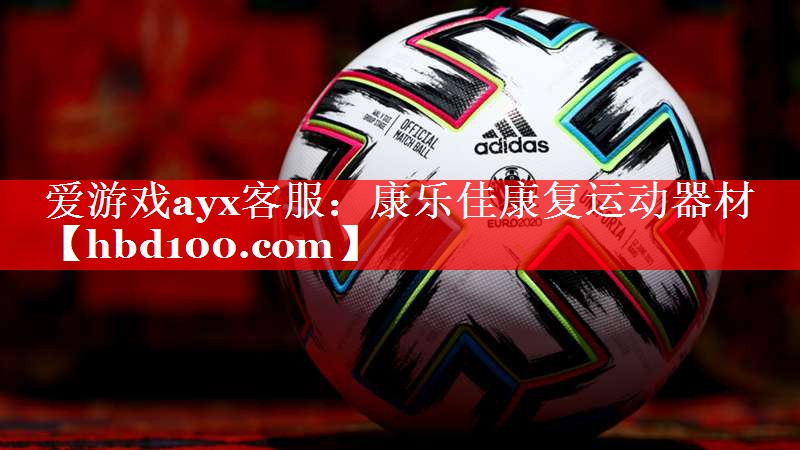 爱游戏ayx客服：康乐佳康复运动器材