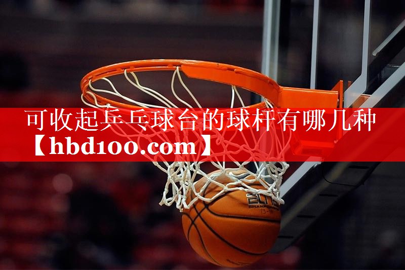 可收起乒乓球台的球杆有哪几种