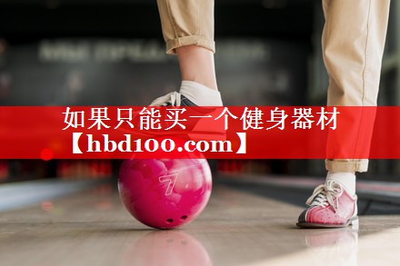 如果只能买一个健身器材
