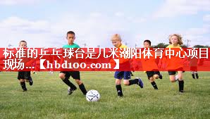 标准的乒乓球台是几米潮阳体育中心项目现场…