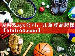 爱游戏ayx公司：儿童登高爬梯