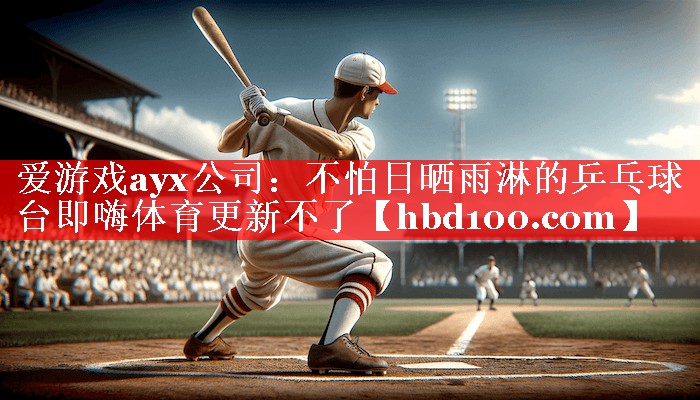 爱游戏ayx公司：不怕日晒雨淋的乒乓球台即嗨体育更新不了