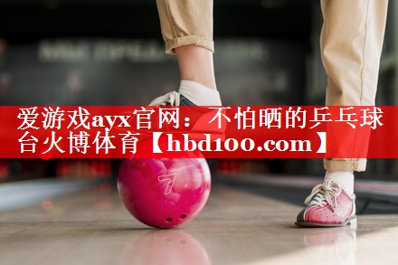 爱游戏ayx官网：不怕晒的乒乓球台火博体育