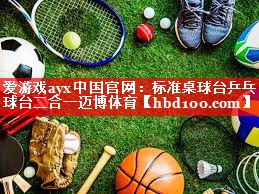 爱游戏ayx中国官网：标准桌球台乒乓球台二合一迈博体育