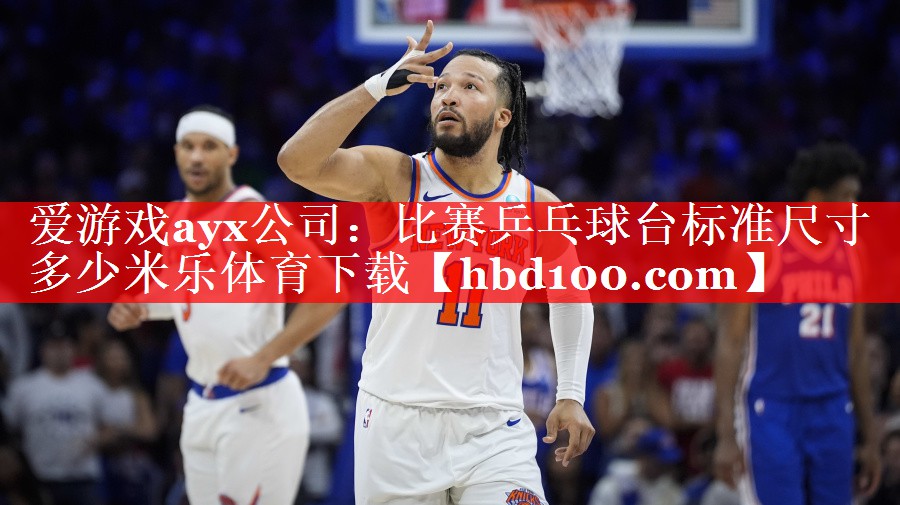 爱游戏ayx公司：比赛乒乓球台标准尺寸多少米乐体育下载