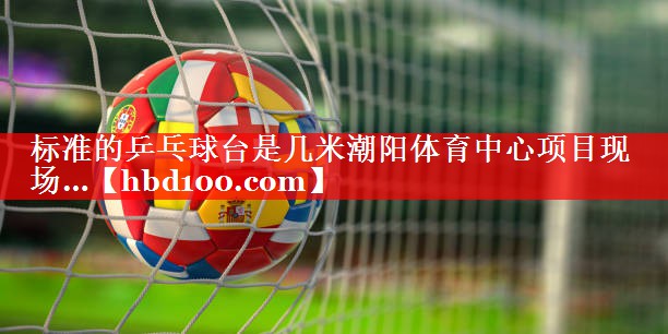 标准的乒乓球台是几米潮阳体育中心项目现场…