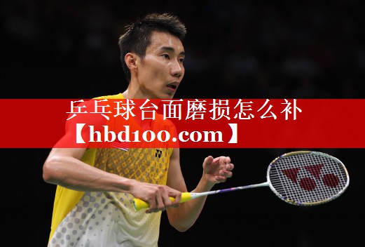 乒乓球台面磨损怎么补 乒乓球台面磨损怎么补