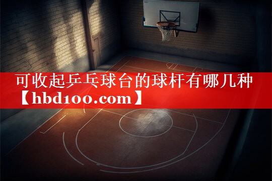 可收起乒乓球台的球杆有哪几种 可收起乒乓球台的球杆有哪几种