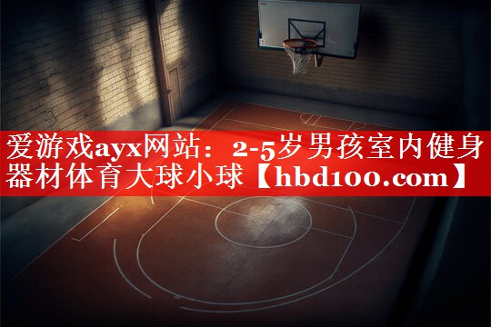 爱游戏ayx网站：2-5岁男孩室内健身器材体育大球小球