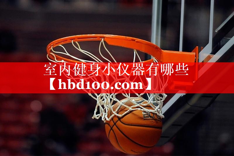 室内健身小仪器有哪些